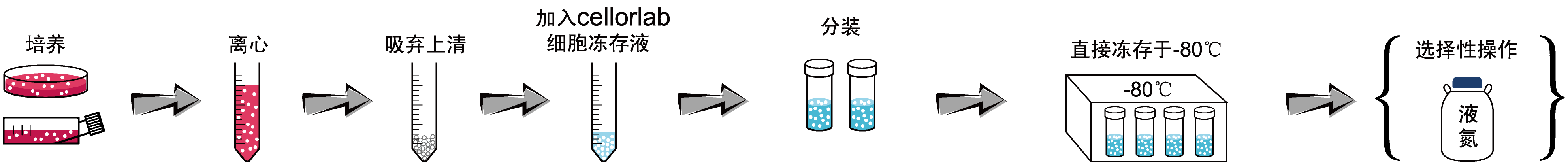 血清冻存液操作步骤示意图-.png