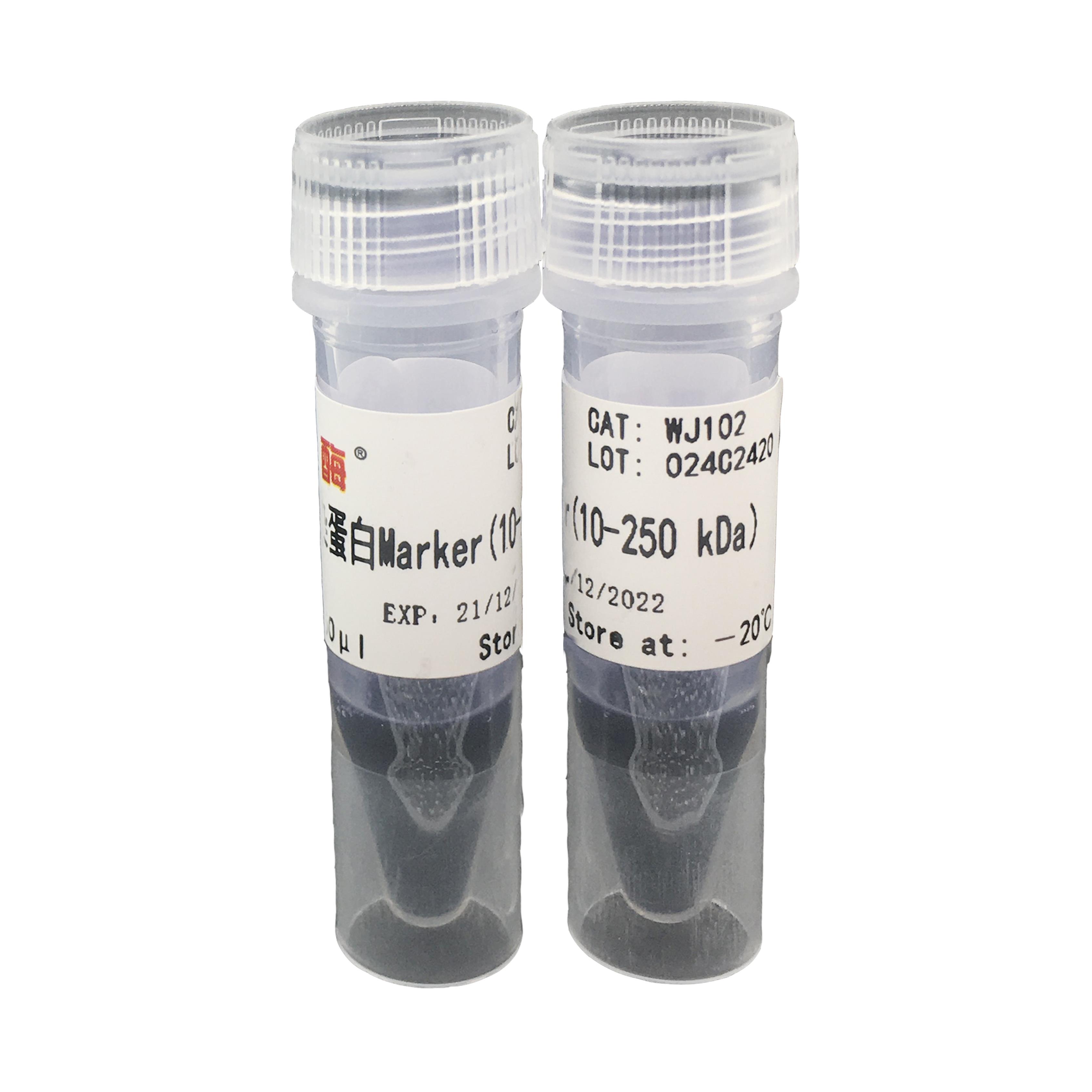 爱生物商城雅酶WJ102 双色预染蛋白Marker 10 KDa~250 KDa WJ102