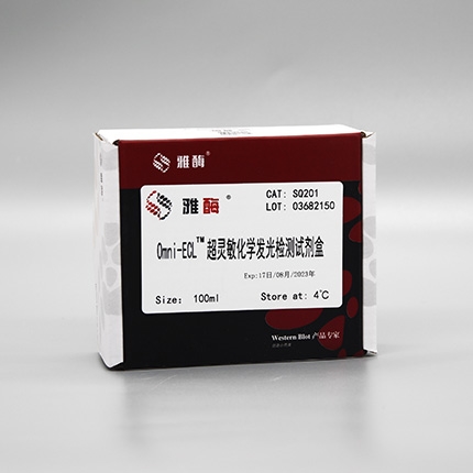 爱生物商城雅酶SQ201 Omni-ECL™ 超灵敏化学发光检测试剂盒（飞克级 